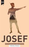 Josef - Ein Mann mit einer "Traum"-Karriere (eBook, ePUB)