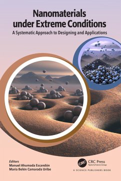 Cover Nanomaterials under Extreme Conditions (eBook, PDF)