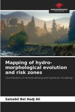 Mapping of hydro-morphological evolution and risk zones - Bel Hadj Ali, Salsebil