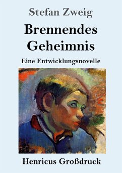 Brennendes Geheimnis (Großdruck) - Zweig, Stefan