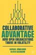 Collaborative Advantage - Bild 1