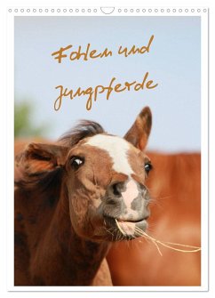 Fohlen und Jungpferde (Wandkalender 2024 DIN A3 hoch), CALVENDO Monatskalender