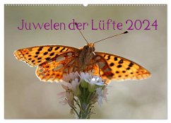 Juwelen der Lüfte 2024 (Wandkalender 2024 DIN A2 quer), CALVENDO Monatskalender