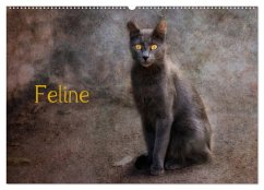 Feline (Wandkalender 2024 DIN A2 quer), CALVENDO Monatskalender