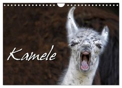 Kamele (Wandkalender 2024 DIN A4 quer), CALVENDO Monatskalender - Berg, Martina