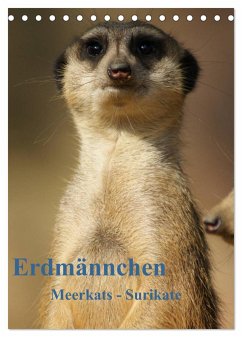 Erdmännchen-Meerkats-Surikate CH Version (Tischkalender 2024 DIN A5 hoch), CALVENDO Monatskalender - Hebgen, Peter