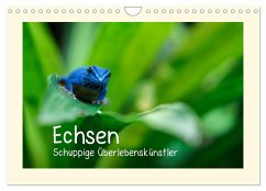 Echsen - Schuppige Überlebenskünstler (Wandkalender 2024 DIN A4 quer), CALVENDO Monatskalender