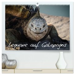 Leguane auf Galapagos (hochwertiger Premium Wandkalender 2024 DIN A2 quer), Kunstdruck in Hochglanz
