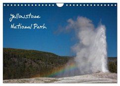 Yellowstone National Park (Wandkalender 2024 DIN A4 quer), CALVENDO Monatskalender