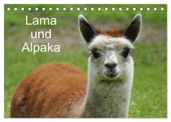 Lama und Alpaka (Tischkalender 2024 DIN A5 quer), CALVENDO Monatskalender