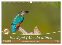 Eisvögel (Alcedo atthis) - Edelsteine der Natur (Wandkalender 2024 DIN A3 quer), CALVENDO Monatskalender - Di Chito, Ursula