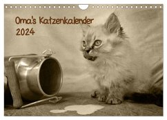 Oma's Katzenkalender 2024 (Wandkalender 2024 DIN A4 quer), CALVENDO Monatskalender - Säume, Sylvia