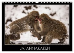 Japanmakaken (Wandkalender 2024 DIN A3 quer), CALVENDO Monatskalender