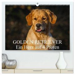 Golden Retriever - Ein Herz auf 4 Pfoten (hochwertiger Premium Wandkalender 2024 DIN A2 quer), Kunstdruck in Hochglanz