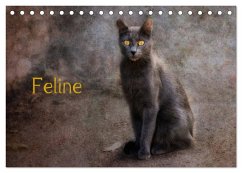 Feline (Tischkalender 2024 DIN A5 quer), CALVENDO Monatskalender