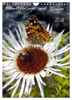 Schmetterlilnge und Blumen (Wandkalender 2024 DIN A4 hoch), CALVENDO Monatskalender - Calvendo