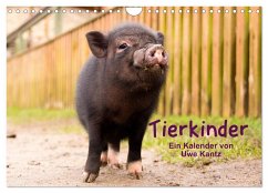 Tierkinder (Wandkalender 2024 DIN A4 quer), CALVENDO Monatskalender - Kantz, Uwe