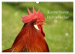 Kunterbunte Hühnerschar (Wandkalender 2024 DIN A3 quer), CALVENDO Monatskalender