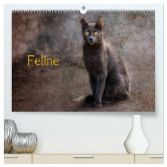 Feline (hochwertiger Premium Wandkalender 2024 DIN A2 quer), Kunstdruck in Hochglanz