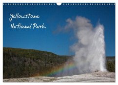 Yellowstone National Park (Wandkalender 2024 DIN A3 quer), CALVENDO Monatskalender