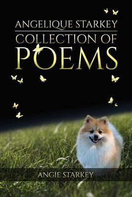 Angelique Starkey (eBook, ePUB)