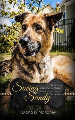 Cover Saving Sandy (eBook, ePUB)