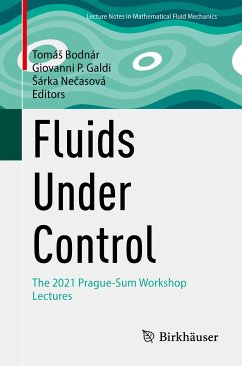 Fluids Under Control (eBook, PDF)