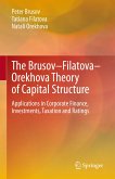 The Brusov–Filatova–Orekhova Theory of Capital Structure (eBook, PDF)