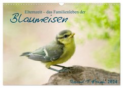 Elternzeit - das Familienleben der Blaumeisen (Wandkalender 2024 DIN A3 quer), CALVENDO Monatskalender - Frank, Roland T.