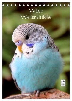 Wilde Wellensittiche (Tischkalender 2024 DIN A5 hoch), CALVENDO Monatskalender