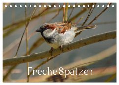 Freche Spatzen (Tischkalender 2024 DIN A5 quer), CALVENDO Monatskalender - Kattobello