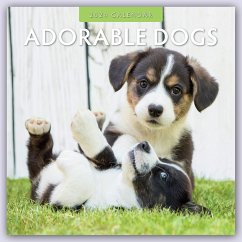 Adorable Dogs 2024 Square Wall Calendar - Red Robin Publishing Ltd