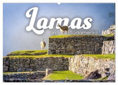 Lamas in Südamerika (Wandkalender 2024 DIN A2 quer), CALVENDO Monatskalender