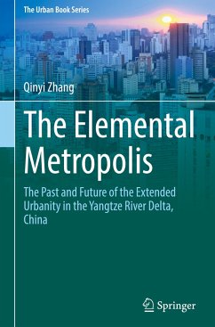 The Elemental Metropolis - Zhang, Qinyi