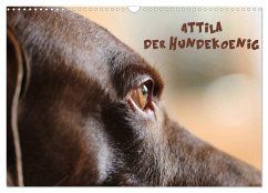 Attila, Der Hundekönig (Wandkalender 2024 DIN A3 quer), CALVENDO Monatskalender - Hultsch, Heike