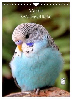 Wilde Wellensittiche (Wandkalender 2024 DIN A4 hoch), CALVENDO Monatskalender