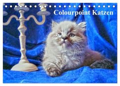Colourpoint Katzen (Tischkalender 2024 DIN A5 quer), CALVENDO Monatskalender