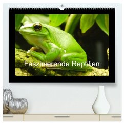 Faszinierende Reptilien (hochwertiger Premium Wandkalender 2024 DIN A2 quer), Kunstdruck in Hochglanz