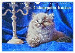 Colourpoint Katzen (Wandkalender 2024 DIN A4 quer), CALVENDO Monatskalender