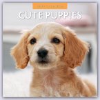 Cute Puppies 2024 Square Wall Calendar