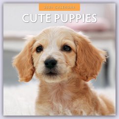 Cute Puppies 2024 Square Wall Calendar - Red Robin Publishing Ltd
