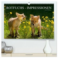 Rotfuchs - Impressionen (hochwertiger Premium Wandkalender 2024 DIN A2 quer), Kunstdruck in Hochglanz