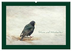 Stare und Weisheiten (Wandkalender 2024 DIN A2 quer), CALVENDO Monatskalender - Hultsch, Heike