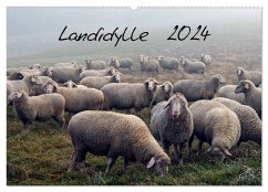 Landidylle 2024 (Wandkalender 2024 DIN A2 quer), CALVENDO Monatskalender
