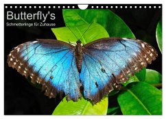 Butterfly's - Schmetterlinge für Zuhause (Wandkalender 2024 DIN A4 quer), CALVENDO Monatskalender - Bade, Uwe