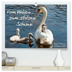 Vom Küken zum stolzen Schwan (hochwertiger Premium Wandkalender 2024 DIN A2 quer), Kunstdruck in Hochglanz - Frank, Roland T.