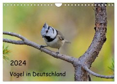 Vögel in Deutschland (Wandkalender 2024 DIN A4 quer), CALVENDO Monatskalender - Jähne, Karin