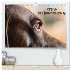 Attila, Der Hundekönig (hochwertiger Premium Wandkalender 2024 DIN A2 quer), Kunstdruck in Hochglanz