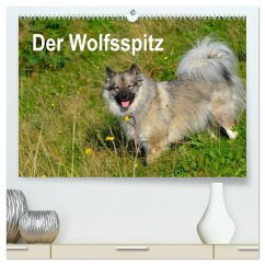 Der Wolfsspitz (hochwertiger Premium Wandkalender 2024 DIN A2 quer), Kunstdruck in Hochglanz