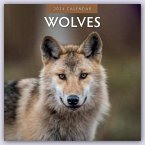 Wolves 2024 Square Wall Calendar